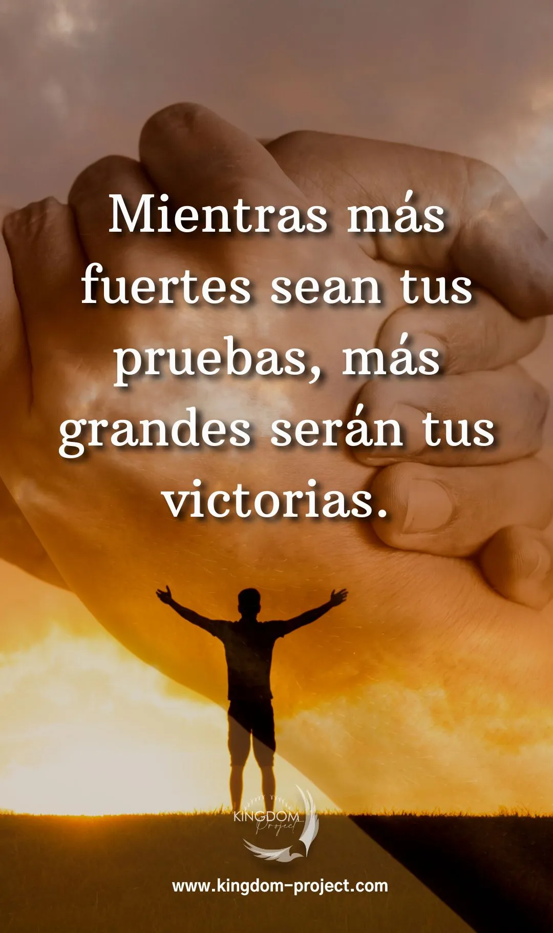 Imagen 659