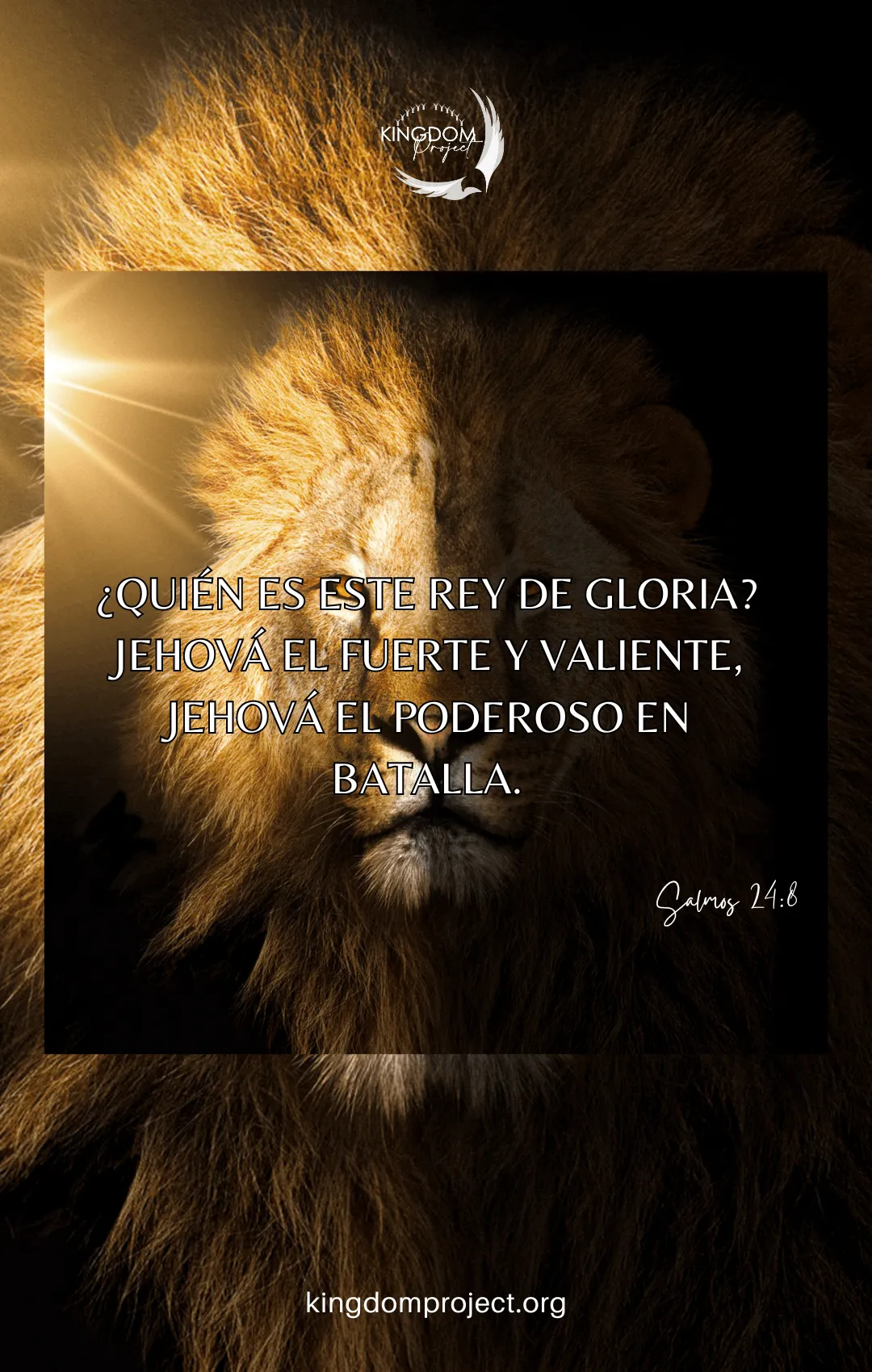 Imagen 661