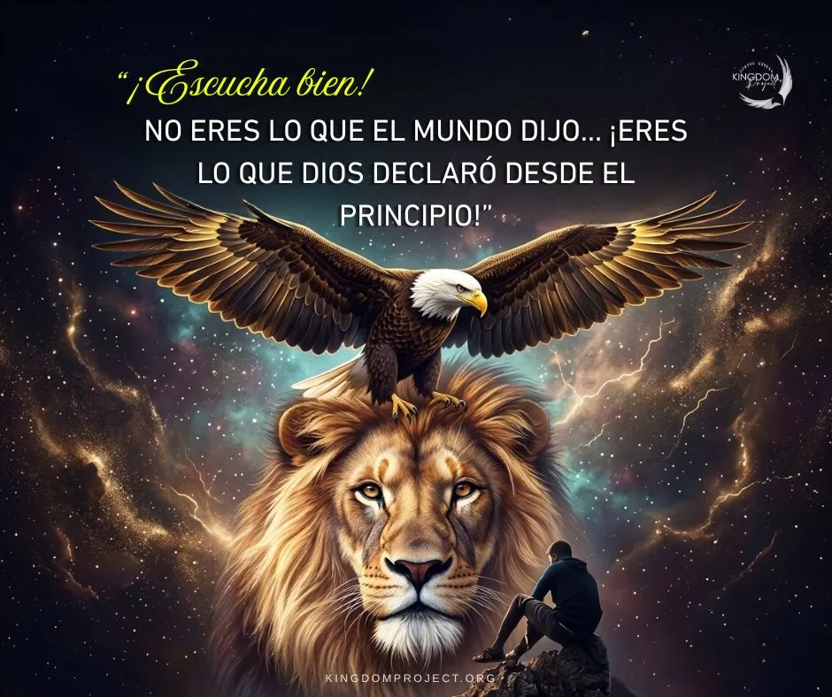 Imagen 691